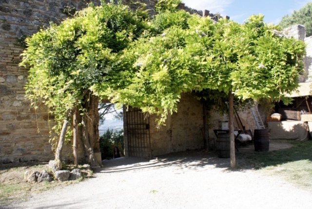 Rocca di Montestaffoli: i preparativi (2)