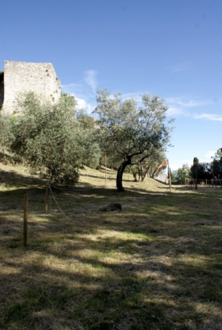 Rocca di Montestaffoli: i preparativi (4)